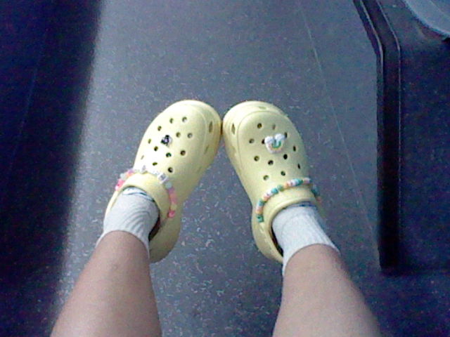 florida trip pictures from my 3ds